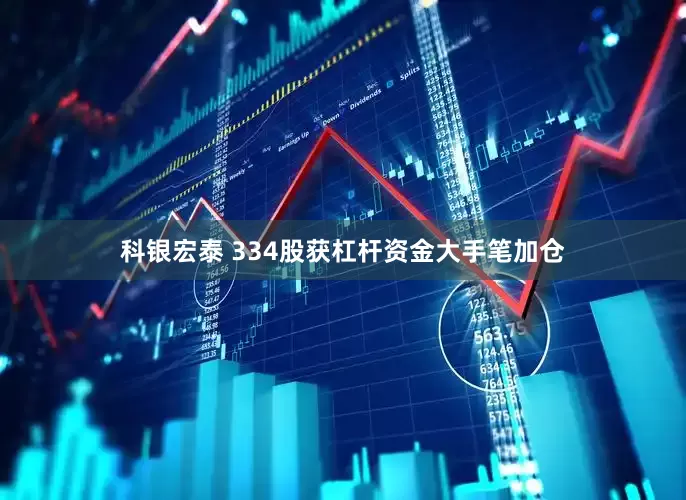 科银宏泰 334股获杠杆资金大手笔加仓