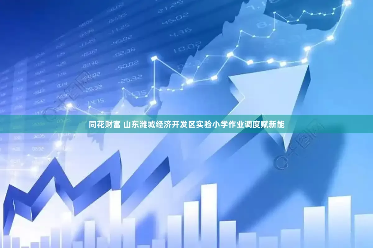 同花财富 山东潍城经济开发区实验小学作业调度赋新能