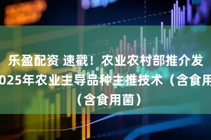 乐盈配资 速戳！农业农村部推介发布2025年农业主导品种主推技术（含食用菌）