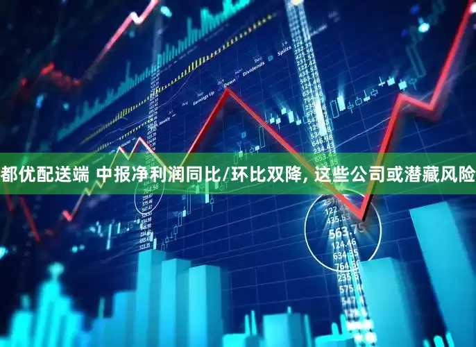 都优配送端 中报净利润同比/环比双降, 这些公司或潜藏风险