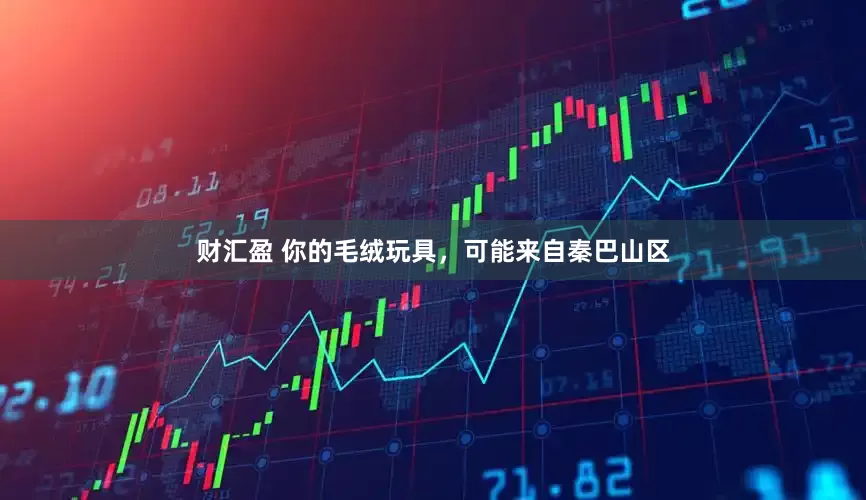 财汇盈 你的毛绒玩具，可能来自秦巴山区